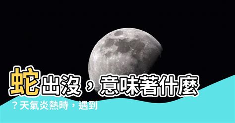 騎車遇到蛇代表什麼|[請益] 騎車遇到蛇、騎車不小心壓到蛇該怎麼辦？